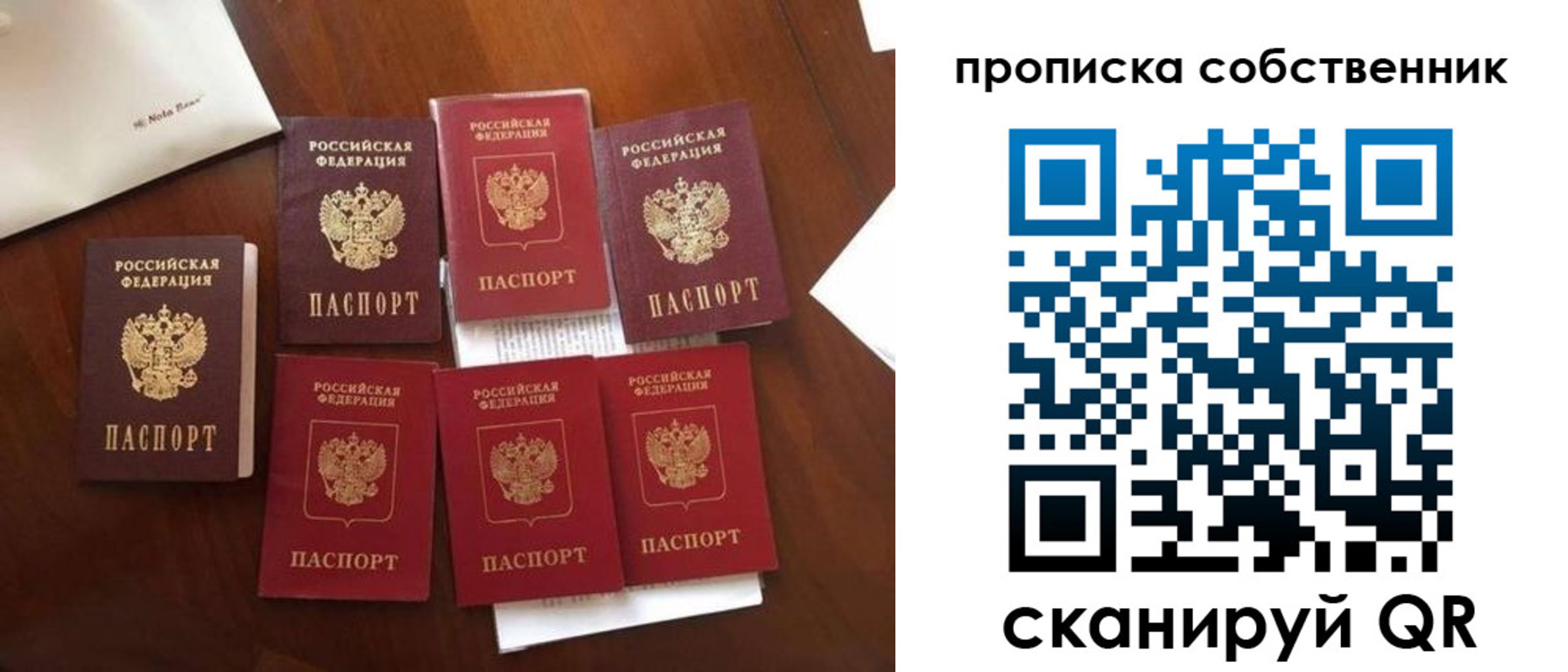 прописка для школы в Бабаево