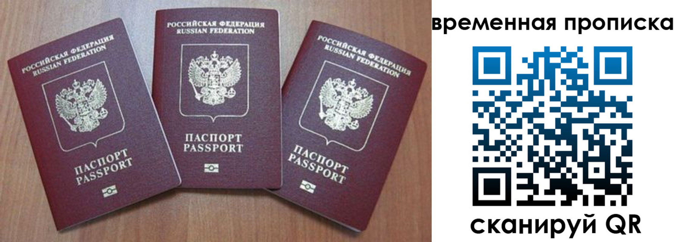 прописка для работы в Бабаево