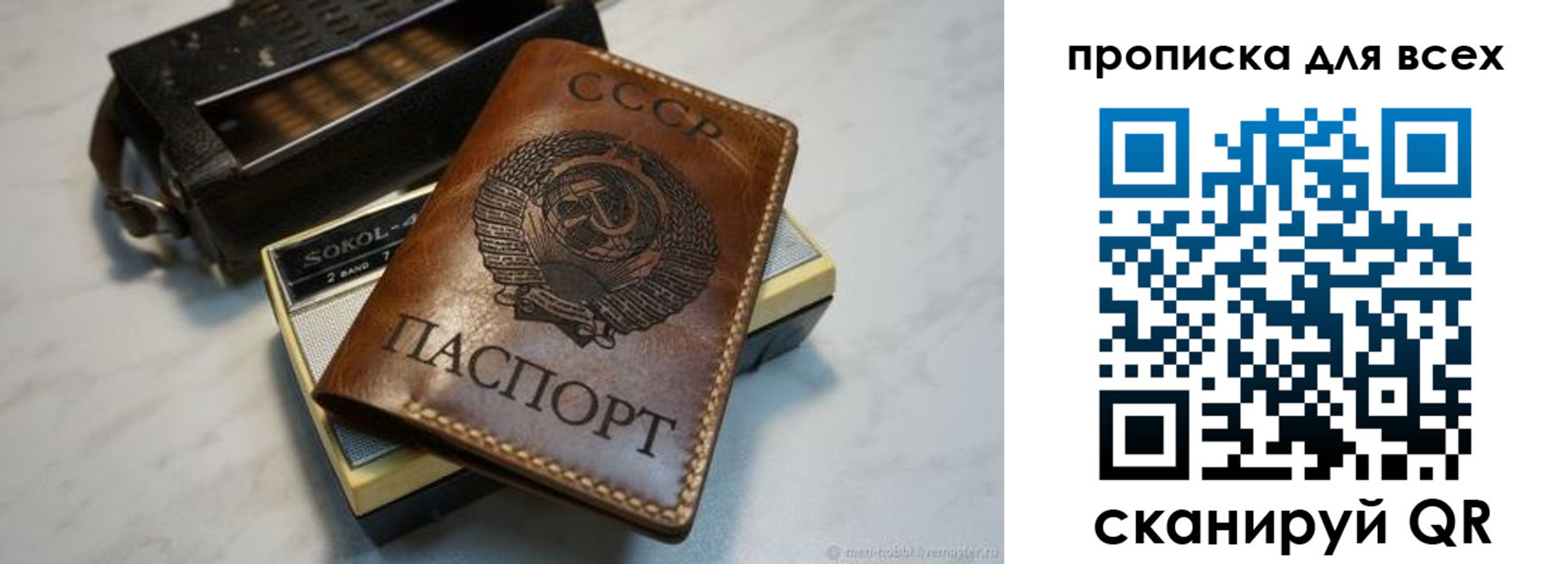 прописка в квартире в Бабаево
